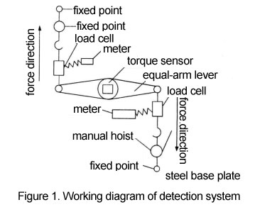 Working diagram of detection system 